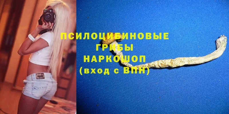 Галлюциногенные грибы Magic Shrooms  Краснотурьинск 